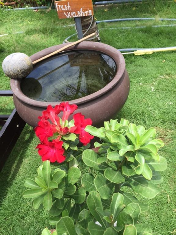 Hoi An Osaka Riverside Villa & Spa Zewnętrze zdjęcie
